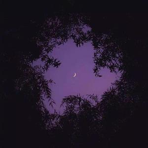 小蕾（prod by Red killer)