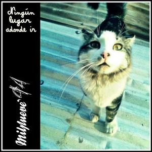 Espacios desconocidos