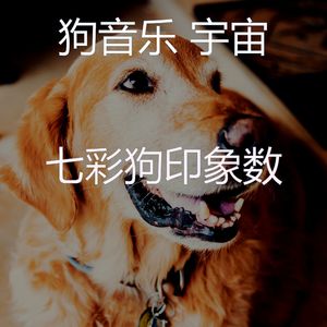 有趣训练犬情怀