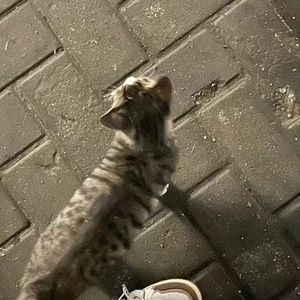 烂片杀青(Prod.Gr33nart beats)