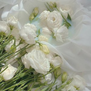 闺蜜的话（翻自 张诗莉）