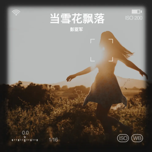 当雪花飘落