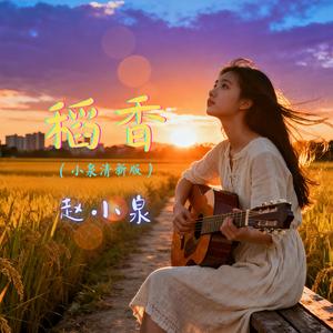 稻香（小泉清新版）