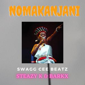 Nomakanjani (Amapiano Vision) (feat. Steazy K & Barkx) (Radio Edit)