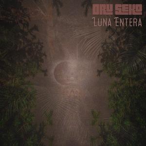 Luna Entera