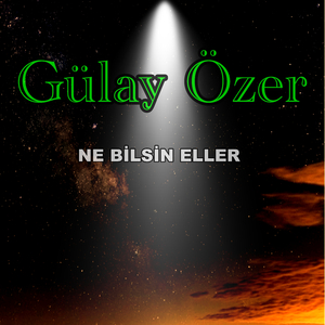 Ne Bilsin Eller
