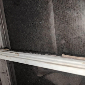 Can't stay here/a place to go