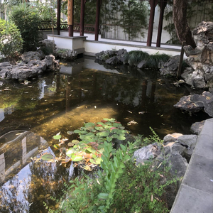 七子之歌(电子琴独奏)