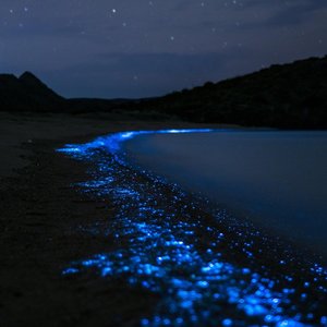 Susurros En La Tormenta
