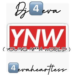 YNW (feat. 4evaheartless)