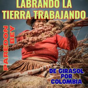 LABRANDO LA TIERRA TRABAJANDO