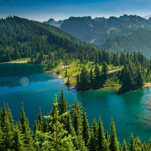 你有没有后悔过