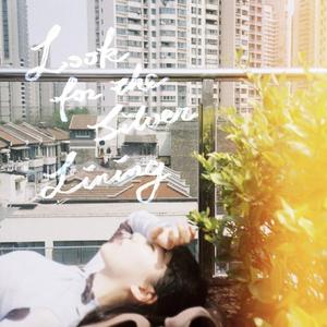 Look for the Silver Lining