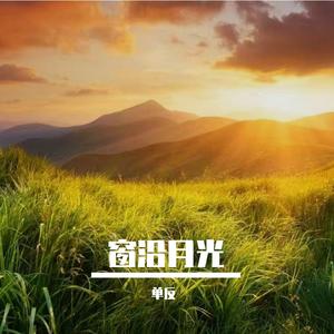 单影随风