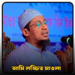 আমি লজ্জিত মাওলা