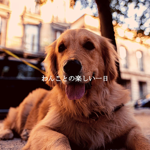 Retro Ambiance for Welcoming New Beginnings