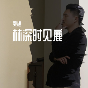 追光者 雯叔