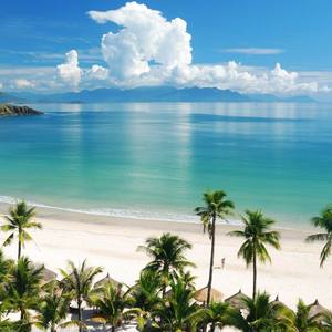 群星-兔子舞（Xiao V Talkbox Remix）