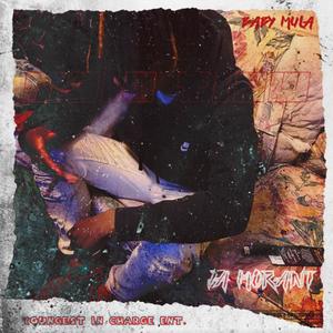 Ja Morant (feat. FTO Lilzack)