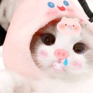 故梦