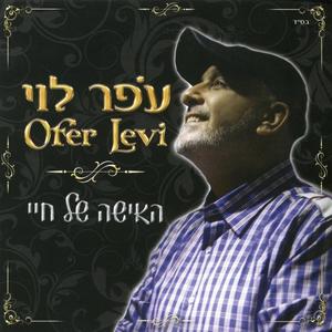 ציפור בודדה