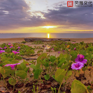 我想彻底坠入海底 -钢琴