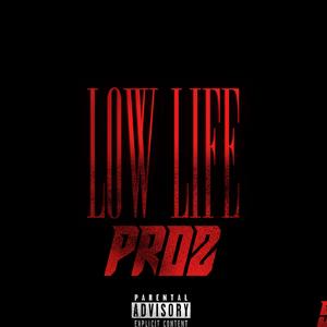 PROZ