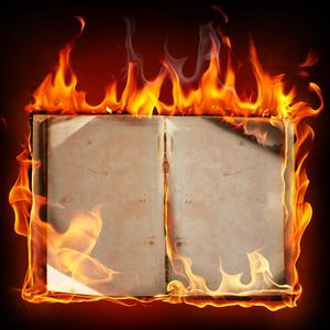 燃烧（DEMO朋克女生版）