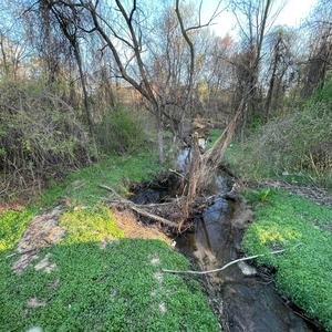 I really wanted it to work, we just weren't on the same wave length, and it pains me to say but I hope you do great things rs