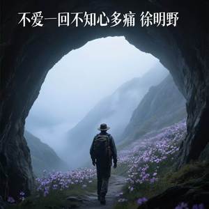 不爱一回不知心多痛