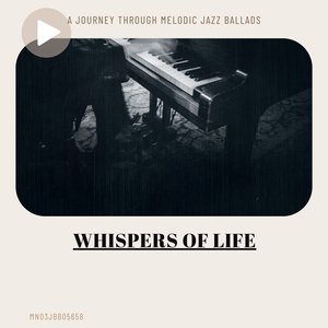 Kaleidoscope of Memories