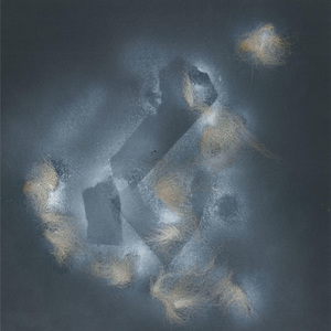 Who Are You