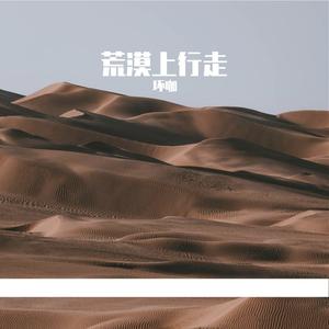荒漠上行走
