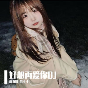 好想再爱你DJ