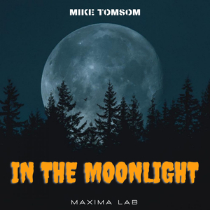 In The Moonlight