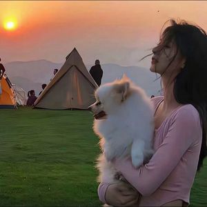 segenix（吉他版）