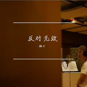 反对无效