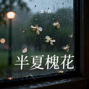 半夏槐花