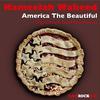 Kameelah Waheed - America the Beautiful (With Guitar)