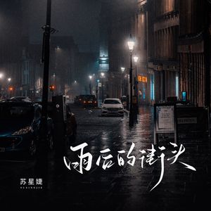 雨后的街头（校园广播版）