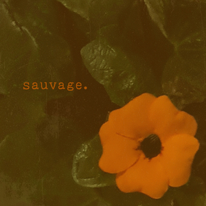 Sauvage.