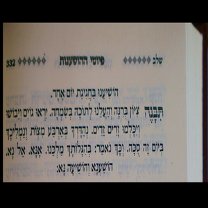 הושע נא (feat. Yonatan Blank & בנימין בלנק Binyamin Blank)