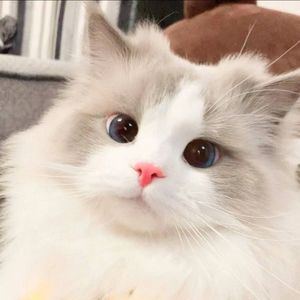 潮汐