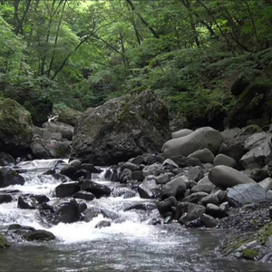 わた渡良瀬川源流