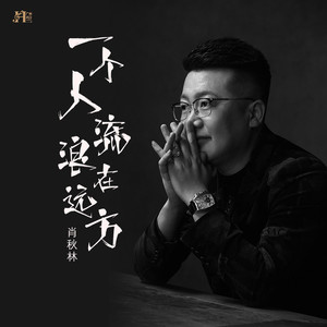 一个人流浪在远方 (Dj翊轩版)