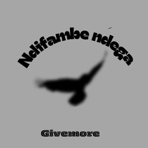 Ndifambe ndega