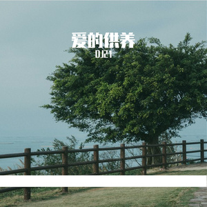 爱的供养 （DJ21 Remix）