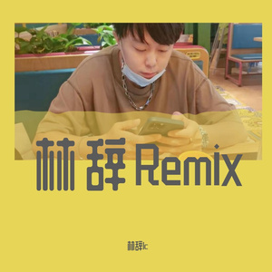 林辞lc-DJ极度寒毒（林辞lc remix）