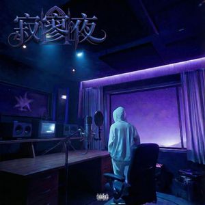 寂寥夜（Feat.她不喜欢我的歌）