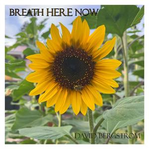 Breath Here Now